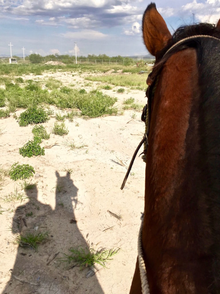 The shadow of a man riding a horse