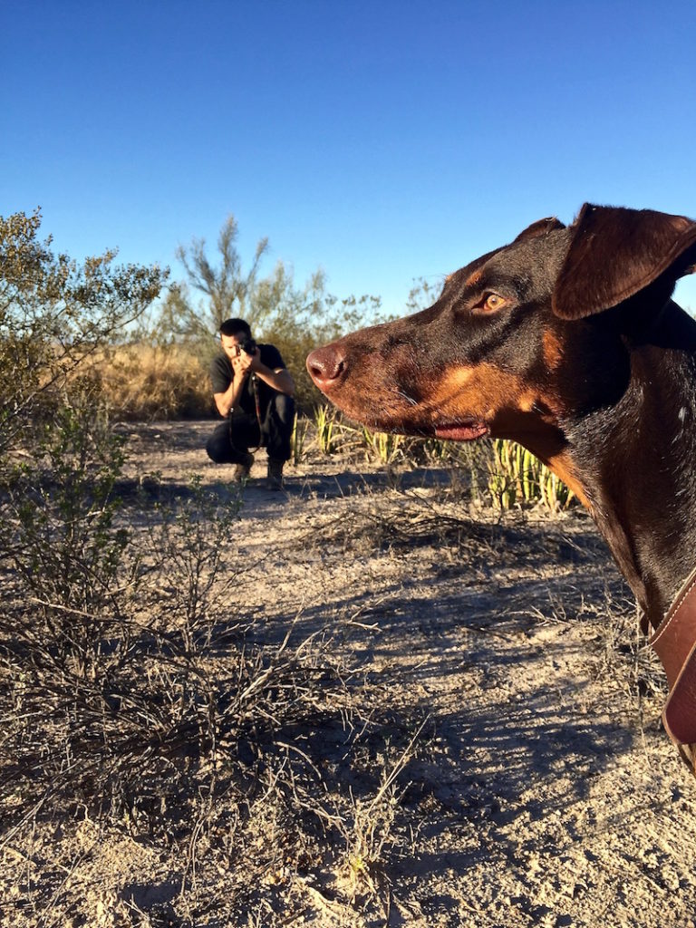 Merida the doberman in the desert with Peter taking pictures in the background