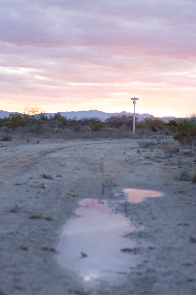 Purple lights at sunset after a rain in the Mexican desert