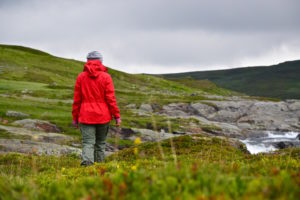 Sophie wandering over the rough landscape in north sweden